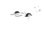 Paadihaagise poritiib 13" DOMAR D20422 rattakoobas 950/240mm